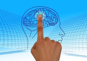 eyeless sight seminars